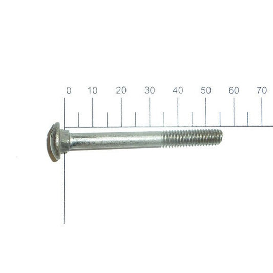 Coach Bolts