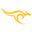 Sykes Rowing logo